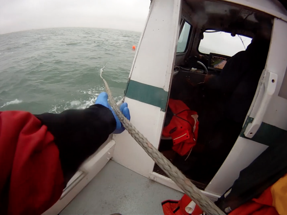 Chevalier Fish Company